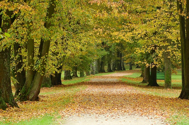 městský park v Českých Budějovicích na podzim